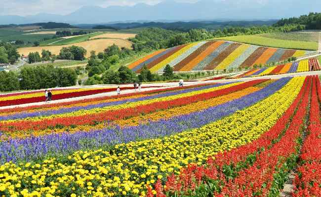 札幌の四季折々の魅力