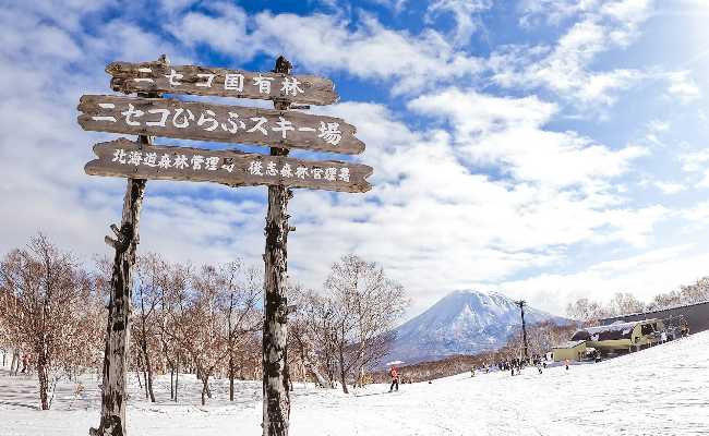 札幌の四季折々の魅力と気候変動の注意点