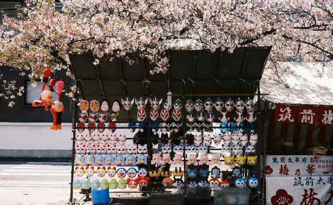 札幌の桜の花見の楽しみ方とおすすめの準備