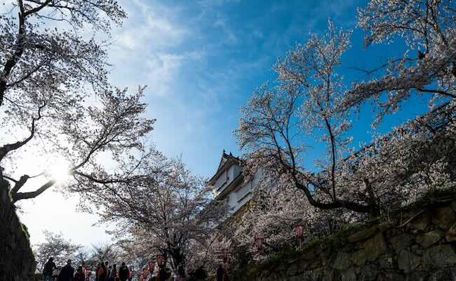 札幌市の多彩な宗派と歴史を持つ寺院群（後半部分）