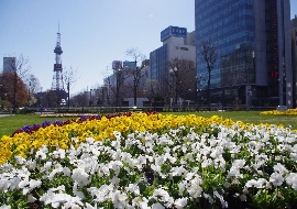 札幌の自然公園とは