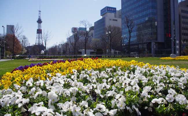 札幌の自然公園と魅力的な温泉地